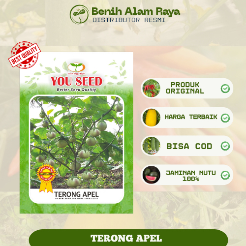 TERONG APEL (TERONG LALAP BULAT) 10 gr - YOU SEED