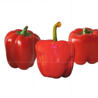 paprika merah 1kg