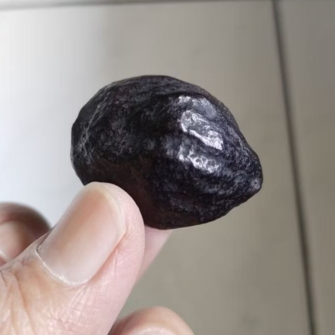 Kemiri Adu Muncang Adu Mantili Rel Urat Dua Matang