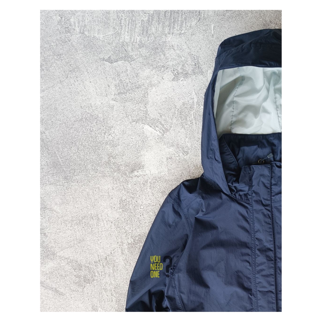TNF dryvent navy parka