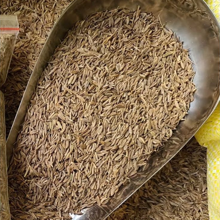 Jintan Masak 1kg Kualitas Bagus - Jinten Masak - Jintan Putih