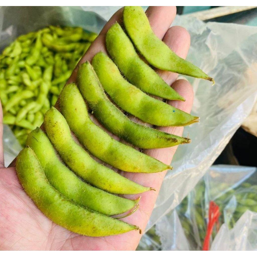 EDAMAME FRESH 1KG