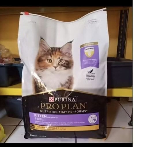 Proplan kitten chiken 8kg
