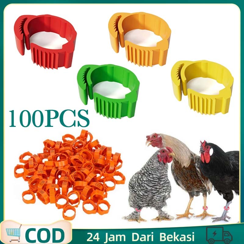 100pcs Gelang Ayam Cincin Kaki Ayam Ring Kaki Ayam Gelang Untuk Kaki Ayam Bebek Klip Unggas Plastik