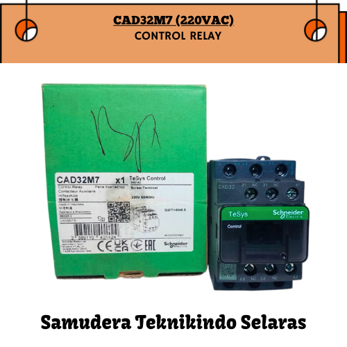 SCHNEIDER CAD32M7 (220VAC) CONTROL RELAY