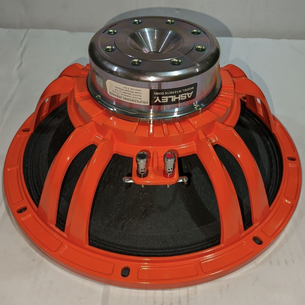 speaker 12 inch ASHLEY N1230 neodium