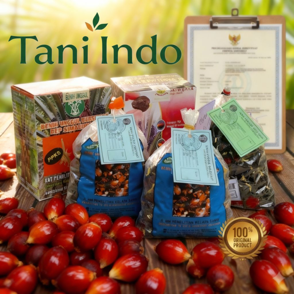 benih kecambah sawit ppks simalungun bersertifikat