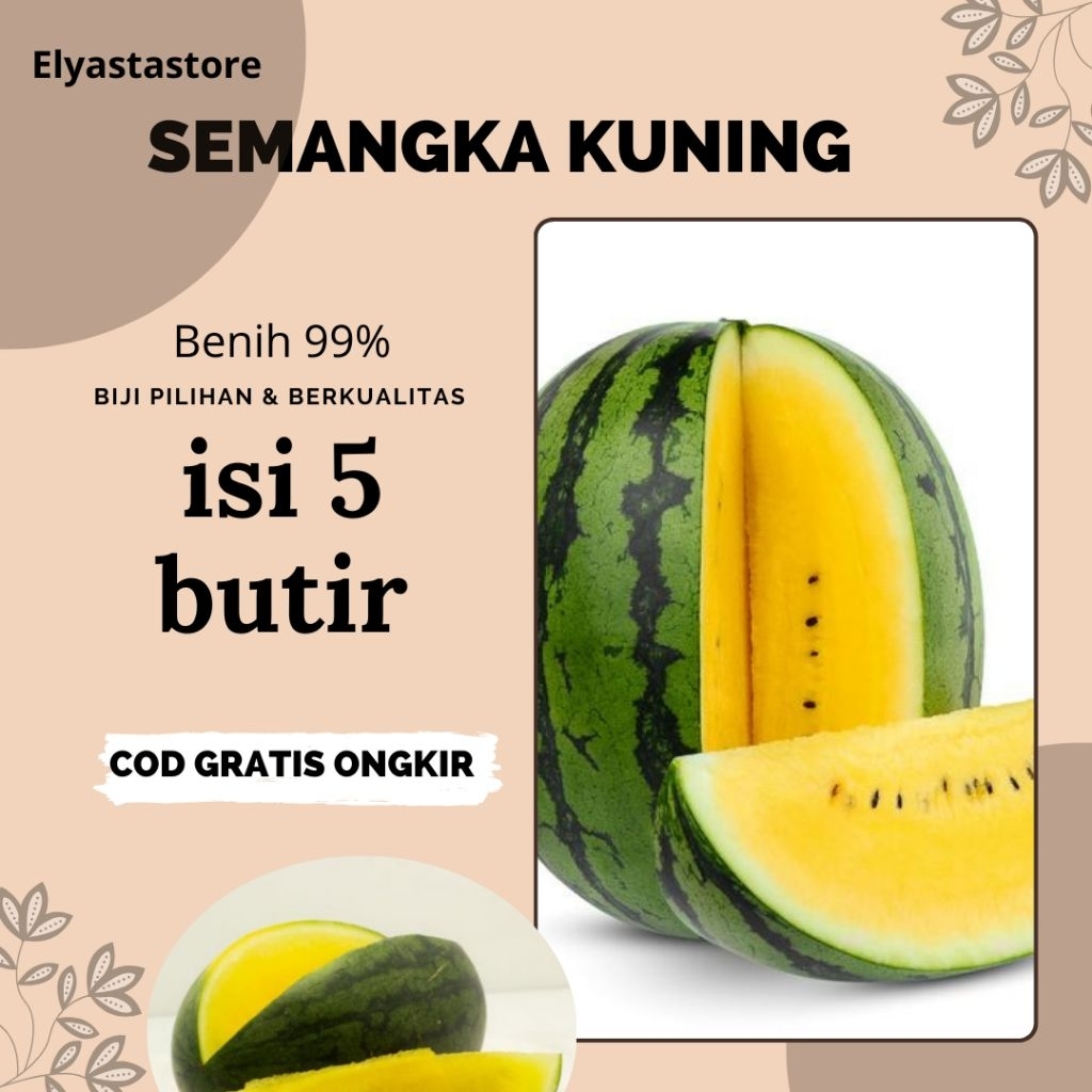 Bibit biji benih buah semangka kuning non biji 5 butir