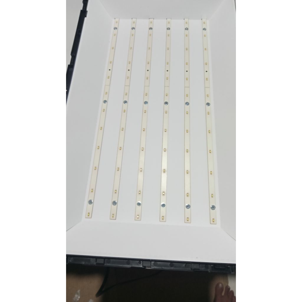 BACKLIGHT POLYTRON 24T800