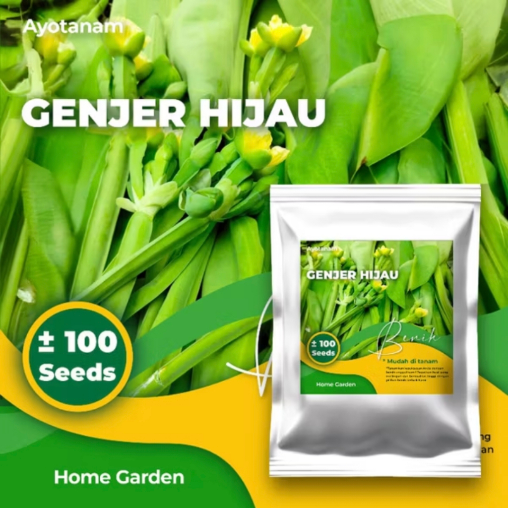 Benih Genjer Hijau isi ± 100 Benih