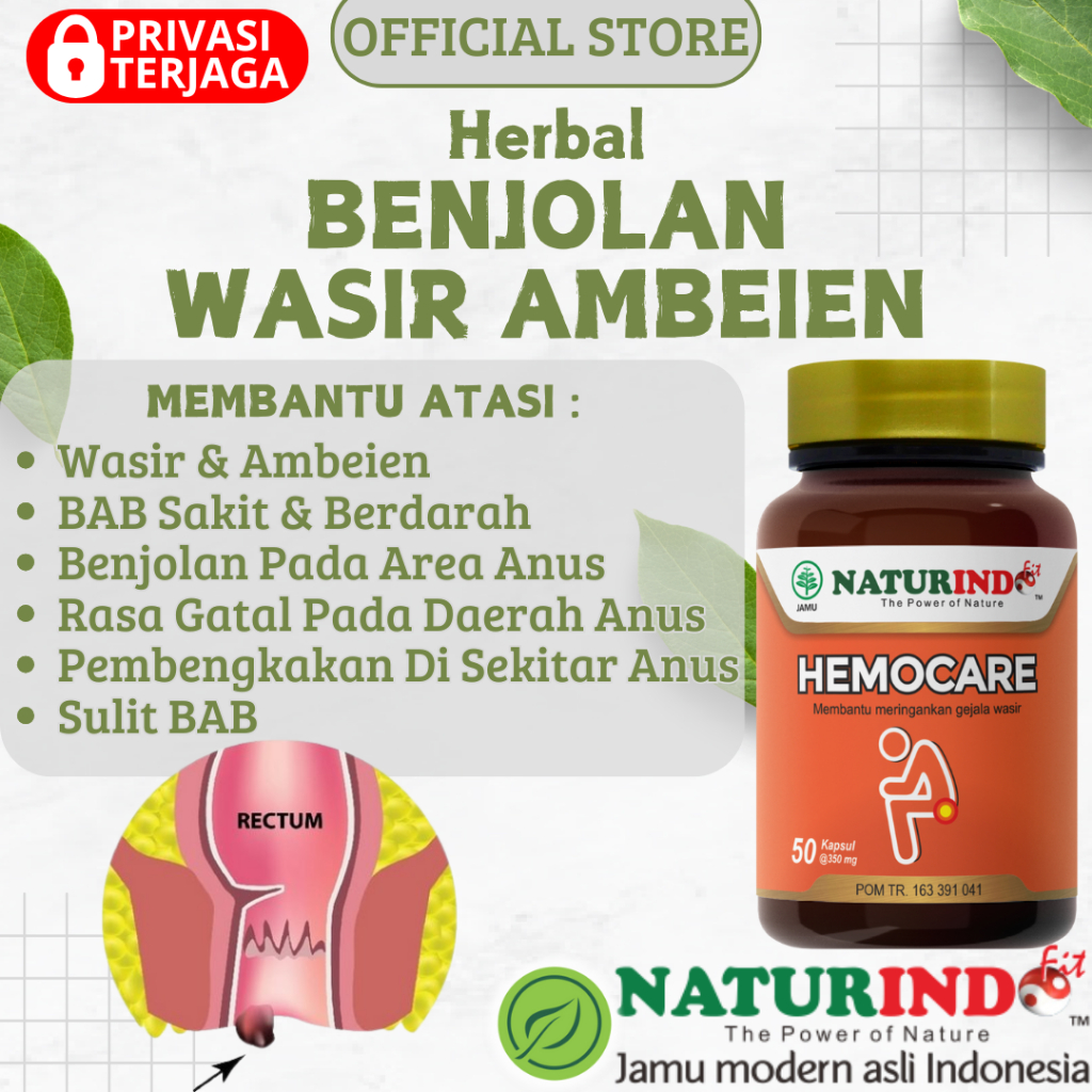 Herbal Benjolan Wasir Ambeien Benjolan Anus Wasir Ambeien Stadium 1-4