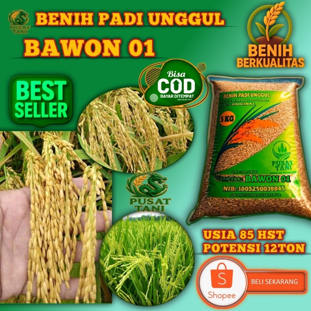 BENIH PADI UNGGUL BAWON 01 SUPER BIBIT ASLI 100%ORIGINAL 5KG
