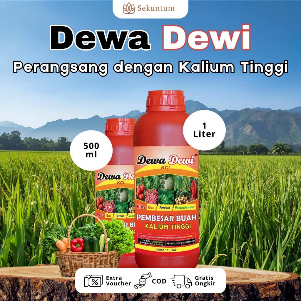 Dewa Dewi Pupuk Kalium Cair 1L-500ml Pembesar Buah Efektif (100% Original)
