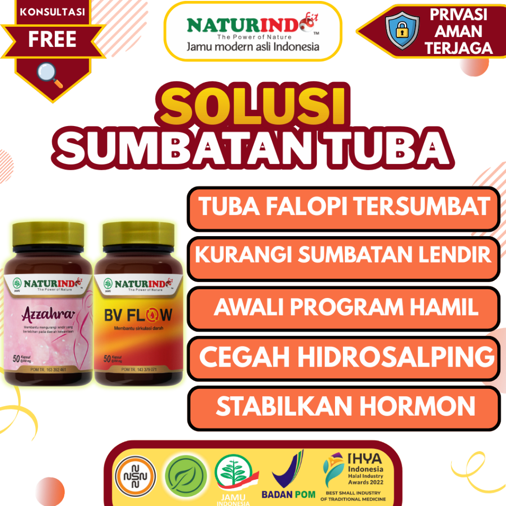 Herbal Solusi Sumbatan Penyumbatan Tuba Falopi Gangguan Mestruasi Sumbatan Lendir Tuba Falopi