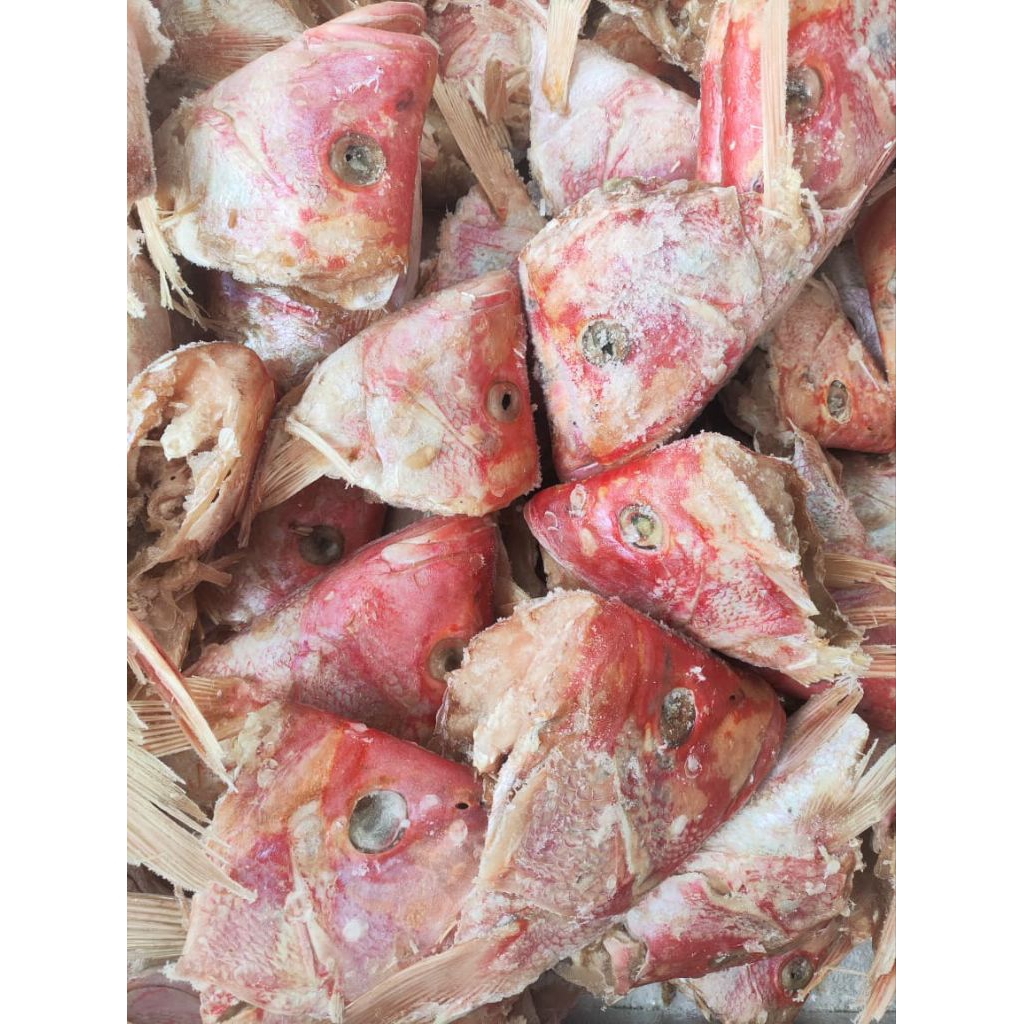 Kepala Kakap | kepala kakap merah | kakap merah per kilo