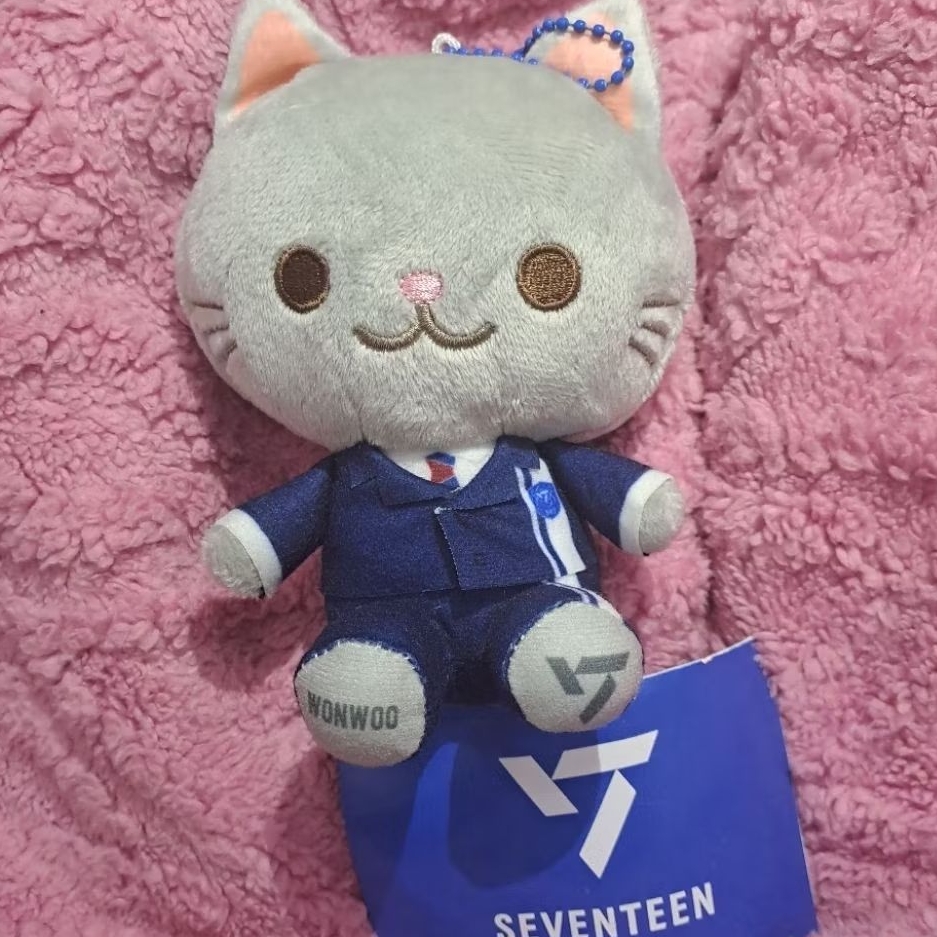 Official Sega Japan Wonwoo Seventeen Plush Keychain Kucing Jeon Wonwoo