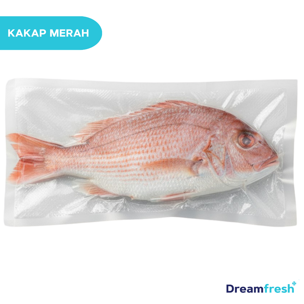 Ikan Kakap Merah Segar Seafood Hasil Laut Segar Frozen Fresh