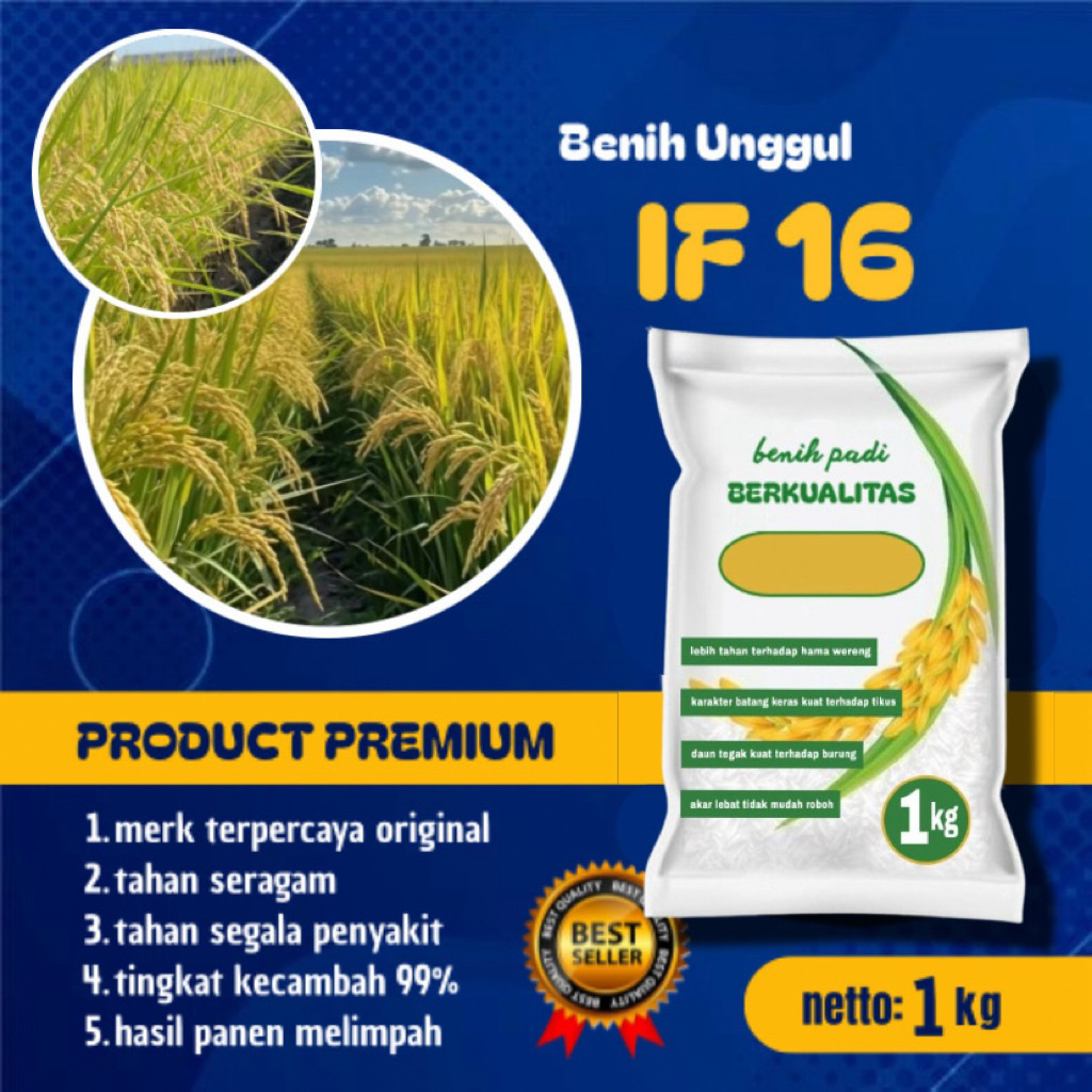 Benih padi IF 16 original kemasan 1kg