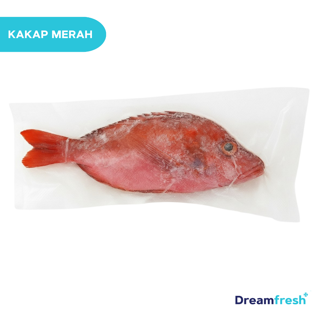 Ikan Kakap Merah Besar Frozen Fresh Segar Beku Ukuran besar diatas 500kg perekor