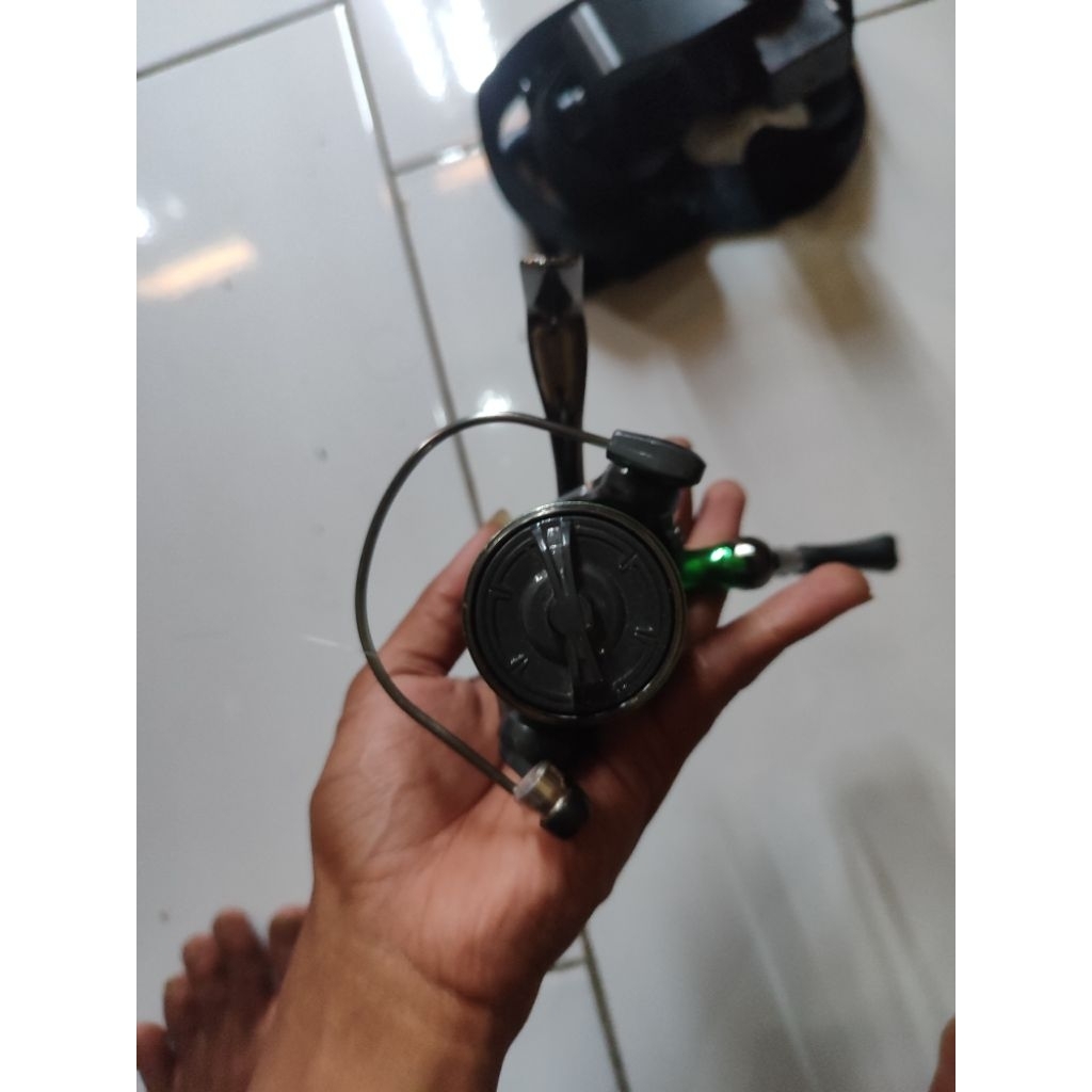 ryobi seasir dw 1000