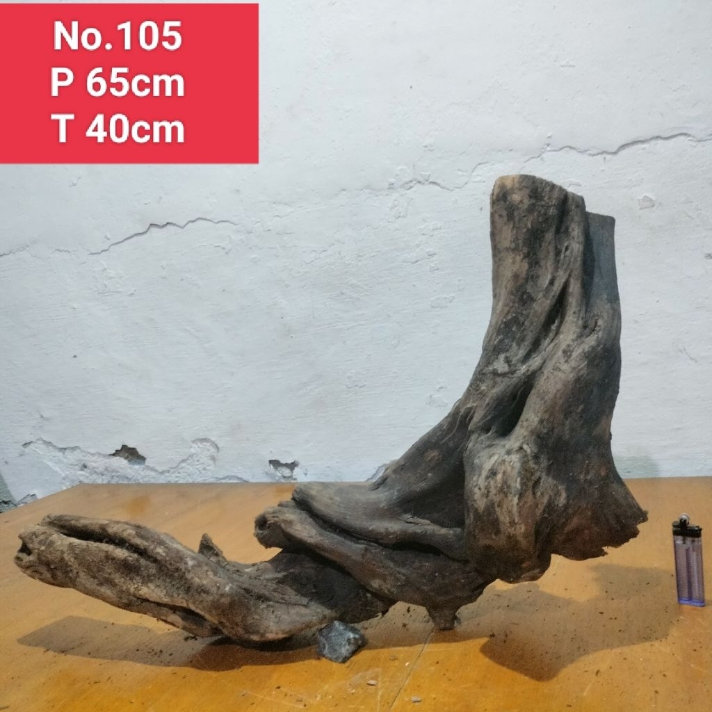 kayu Santigi laut akar santigi laut dekorasi aquascape aquarium 105