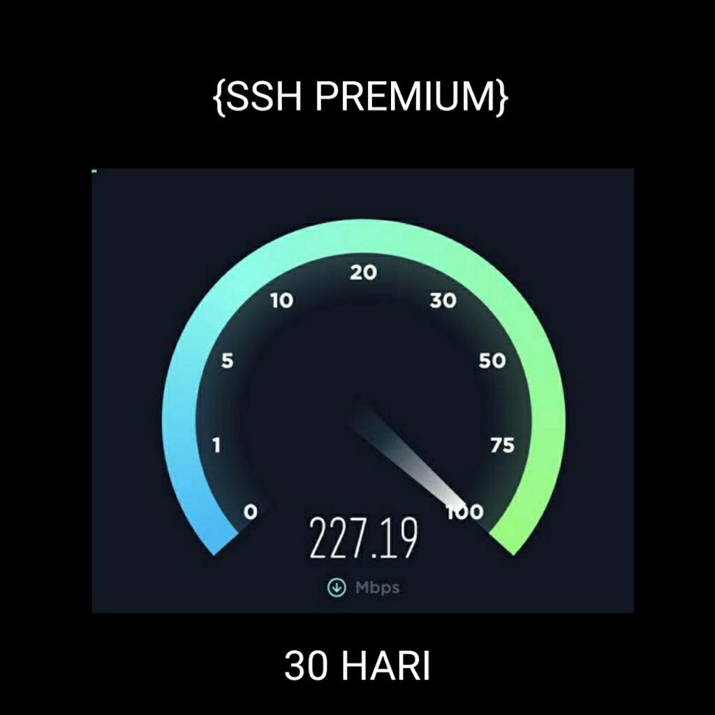 SSH,VMESS,VLESS,TROJAN PREMIUM AKTIF 30 HARI,