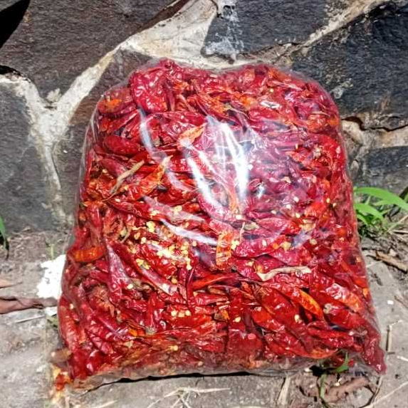 Cabe Kering Teja Import India 1KG Tanpa Tangkai