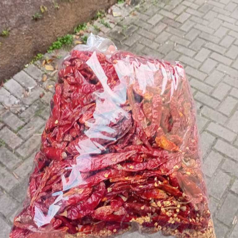 Cabe Kering Teja Import India 1KG Tanpa Tangkai