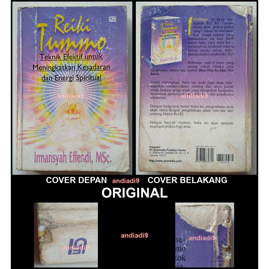 BUKU REIKI TUMMO TEKNIK EFEKTIF UNTUK MENINGKATKAN KESADARAN DAN ENERGI SPIRITUAL IRMANSYAH EFFENDI,
