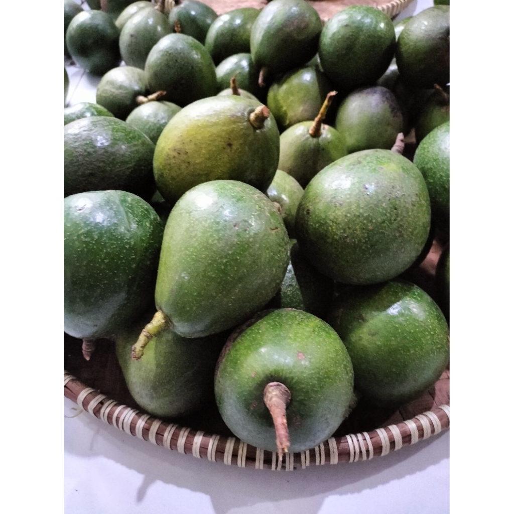 Alpukat Miki 1 kg Fresh Dari Pohon Pribadi