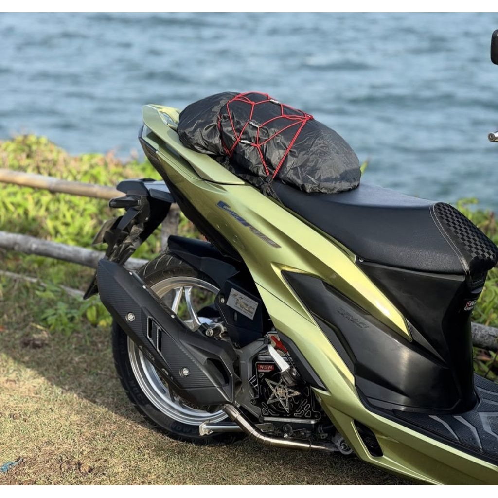 Cat Pu Millenium Green Sage