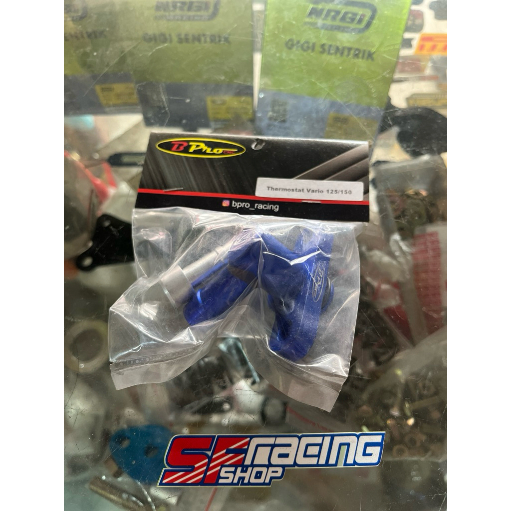 Bypass Thermostat Vario 125 150 ORIGINAL BPRO