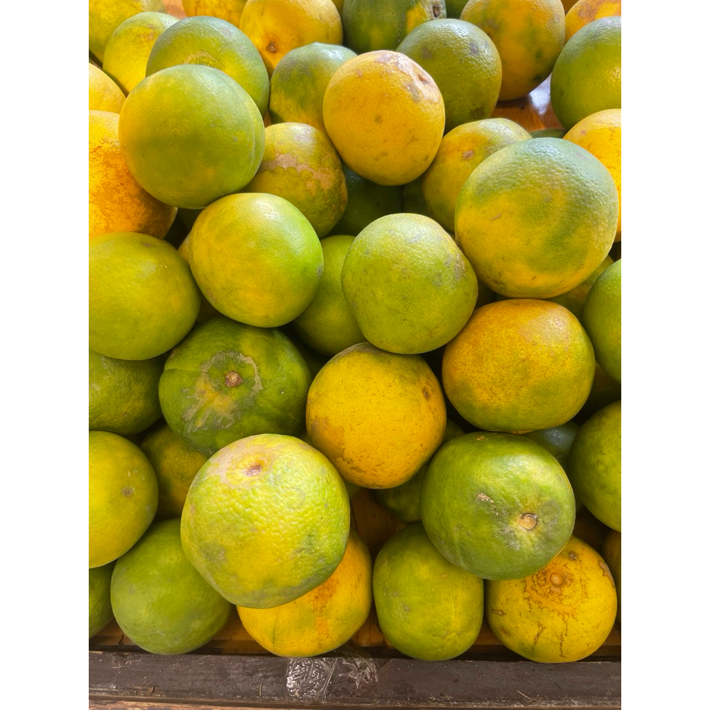 Jeruk Baby Java Super Segar / Jeruk Baby Java 1 Kg