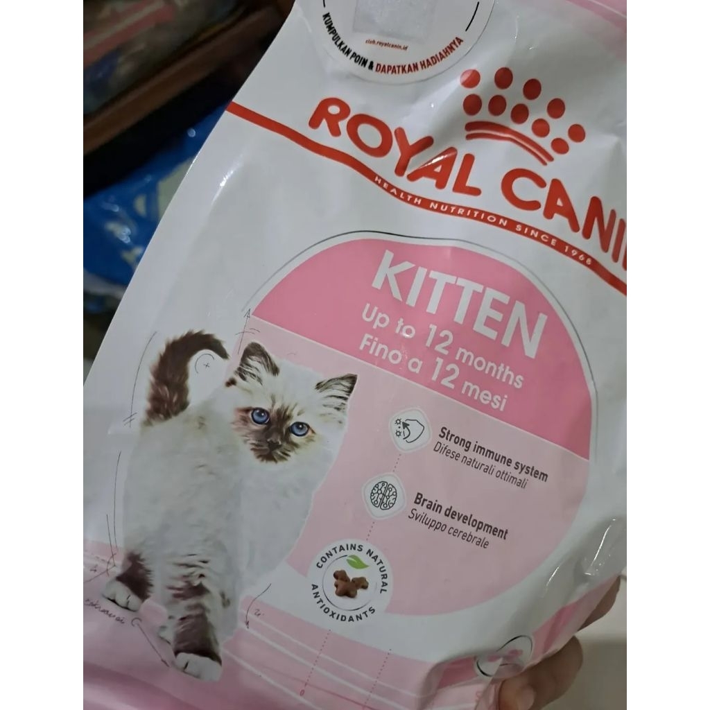 RC Kitten Dry Food