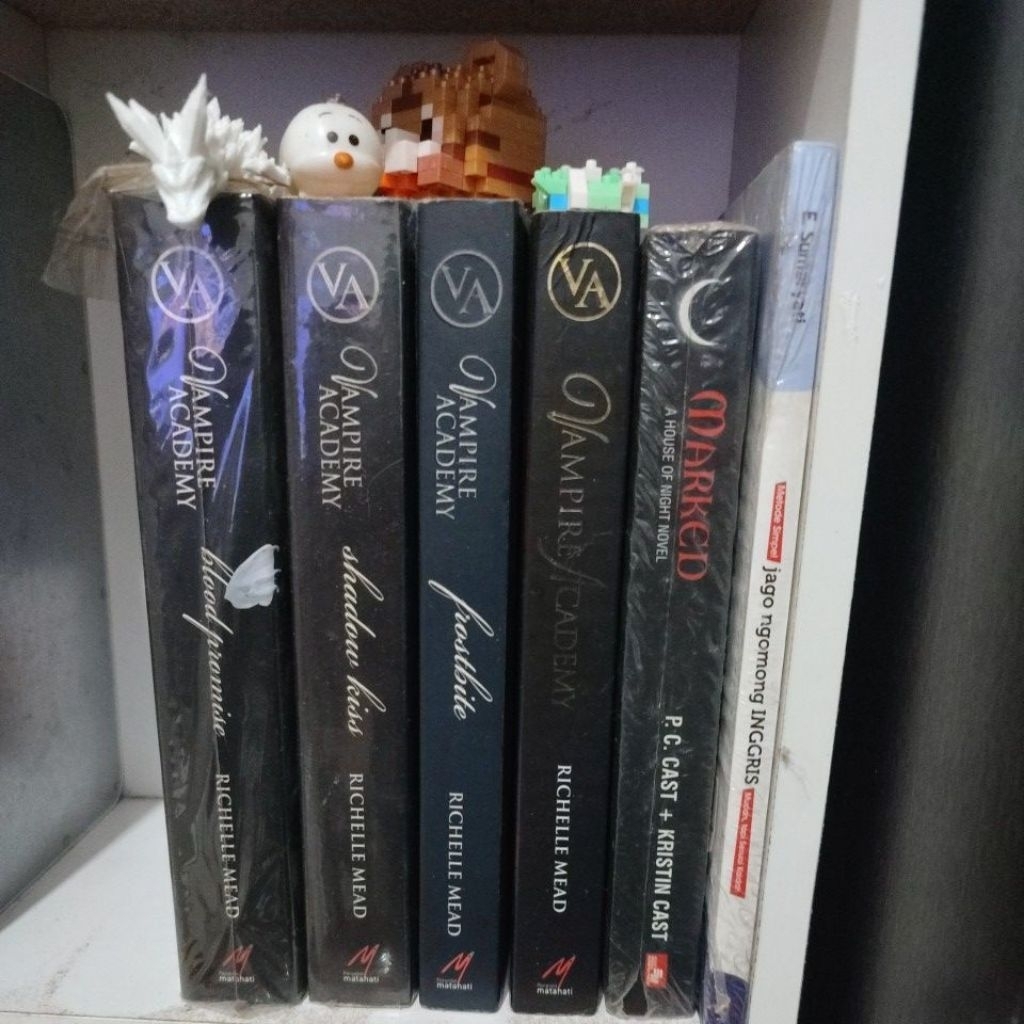 novel vampire academy