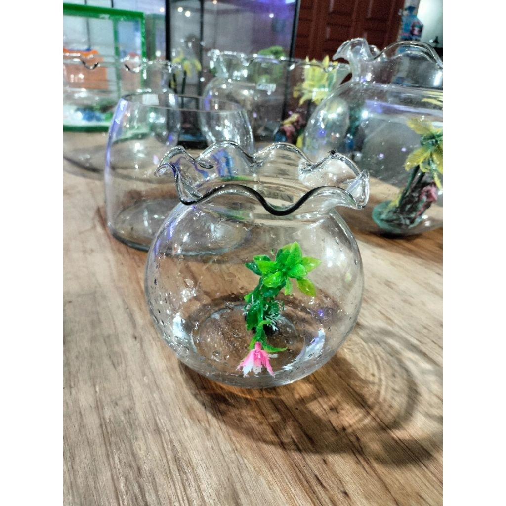 Aquarium bulat kaca 1,5liter