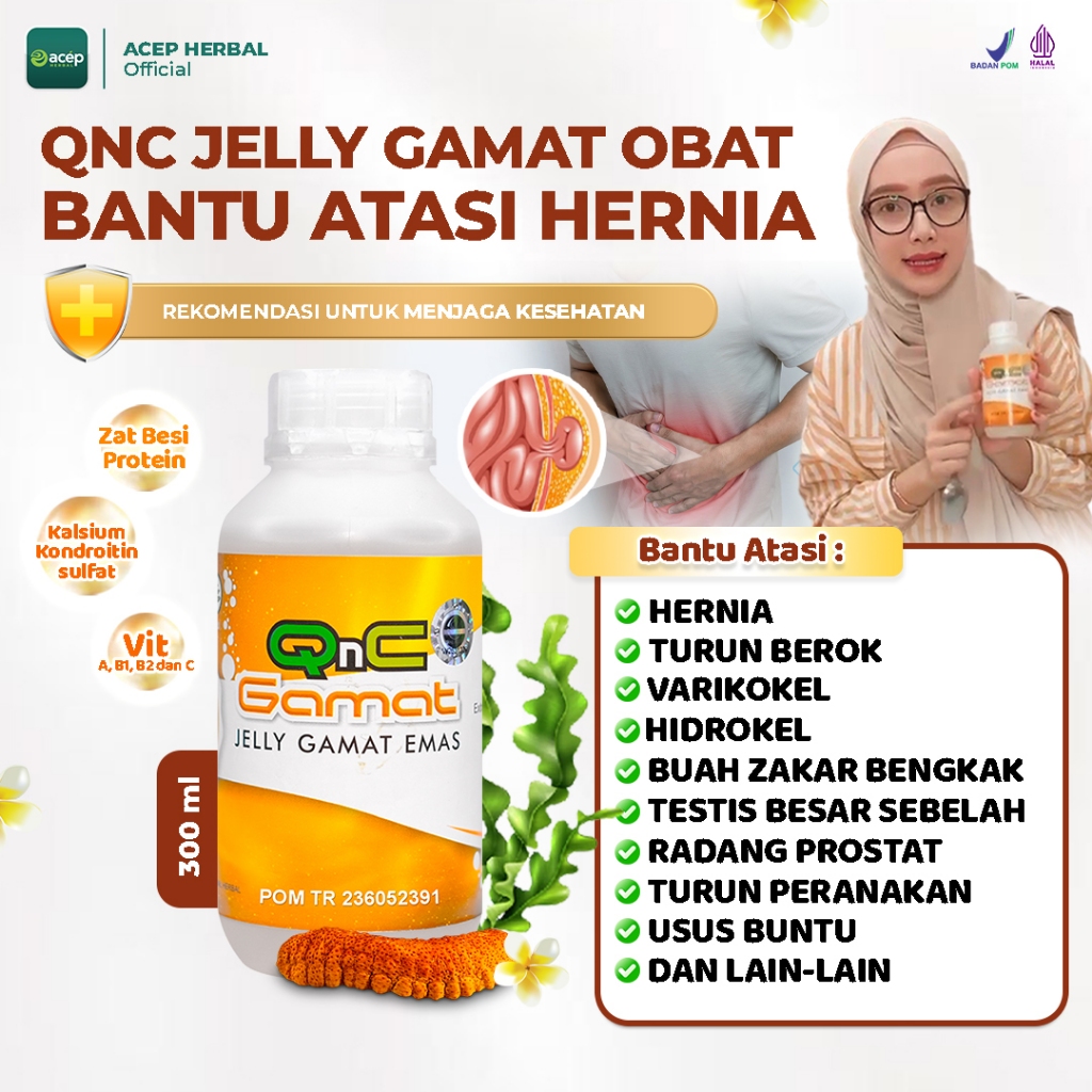 Qnc Jelly Gamat Obat Hernia Turun Berok Varikokel Hidrokel Buah Zakar Bengkak Testis Besar Sebelah R