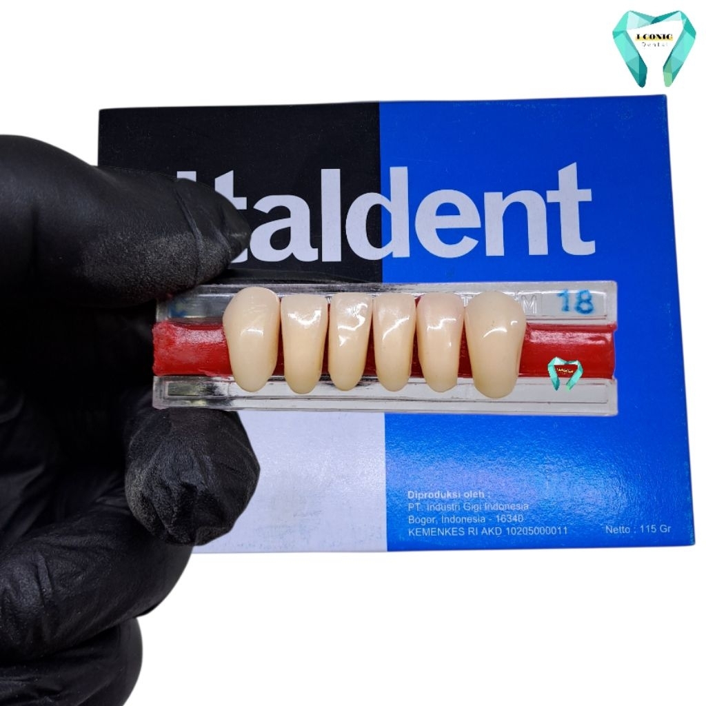 Gigi palsu Italdent ( Depan atas ) 1 Baris Isi 6 Buah Gigi Italdent Depan Bawah  (ECER)