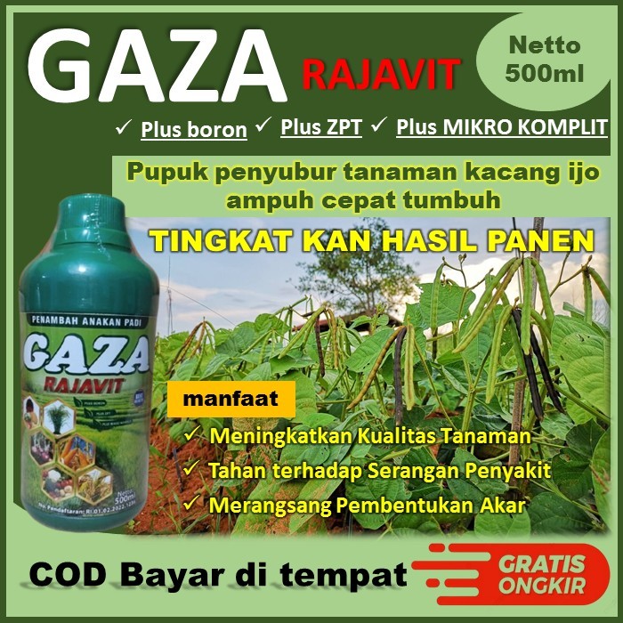 Gaza Rajavit Pupuk Penyubur Tanaman Kacang Ijo - Pupuk Ampuh Kacang Ijo Subur Dan Lebat - Tanaman Ka
