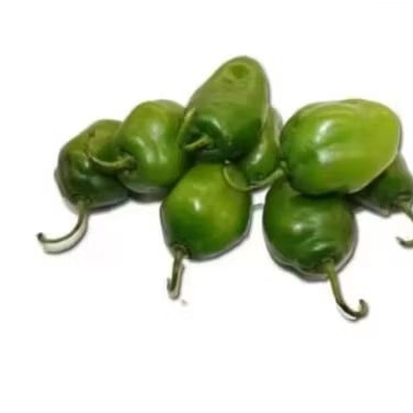 Cabe gendot segar 100gr