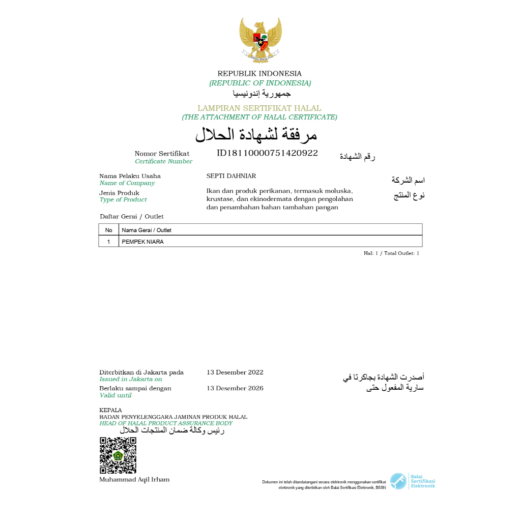 Pempek palembang isi 50