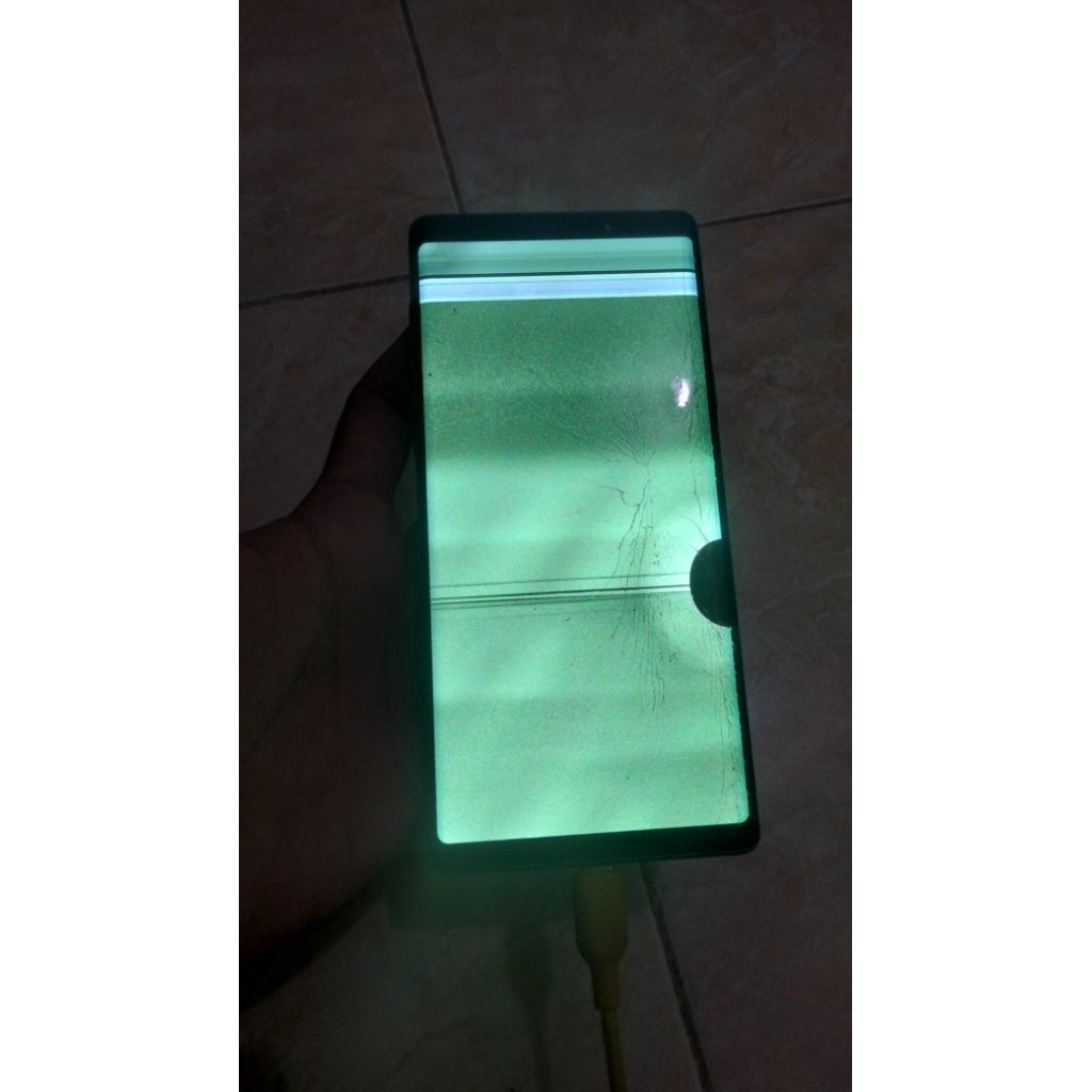 Samsung Note 9 Minus LCD