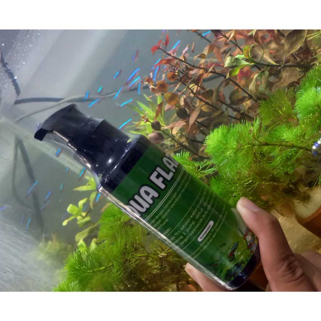 Pupuk Cair Tanaman AQUA FLAZ | Pupuk Cair Aquarium Tanaman Air | Pupuk Cair Tanaman Aquascape