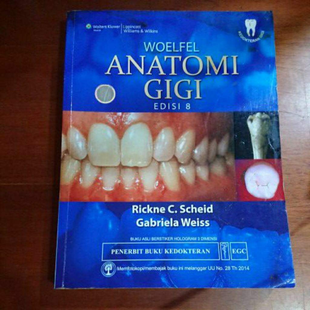 WOELFEL ANATOMI GIGI EDISI 8