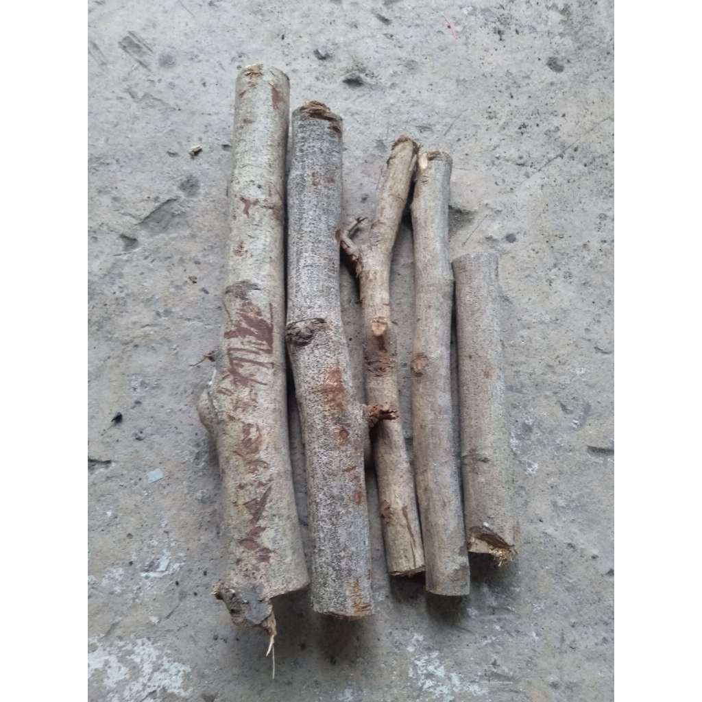 kayu bakar ranting rambutan termurah • untuk berkemah • untuk pramuka • perkilo termurah