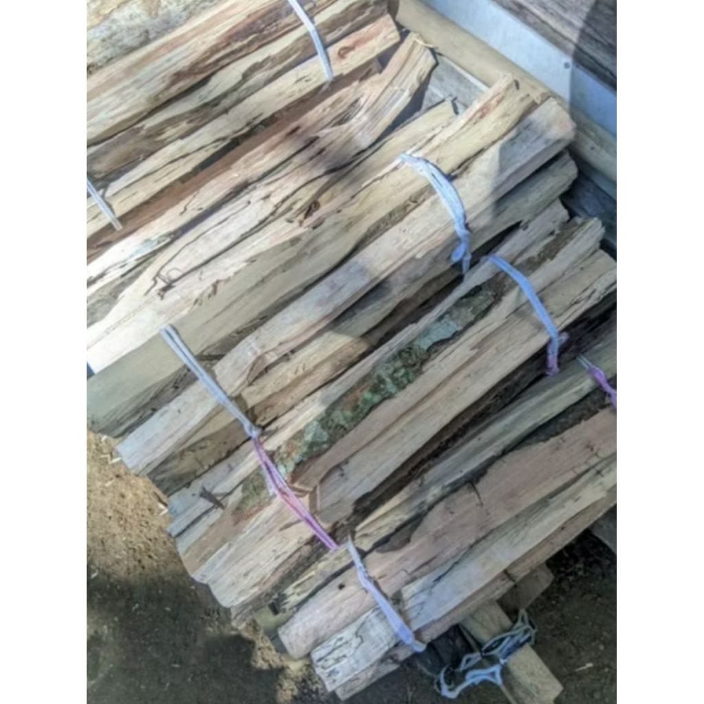 kayu bakar api unggun 10 batang