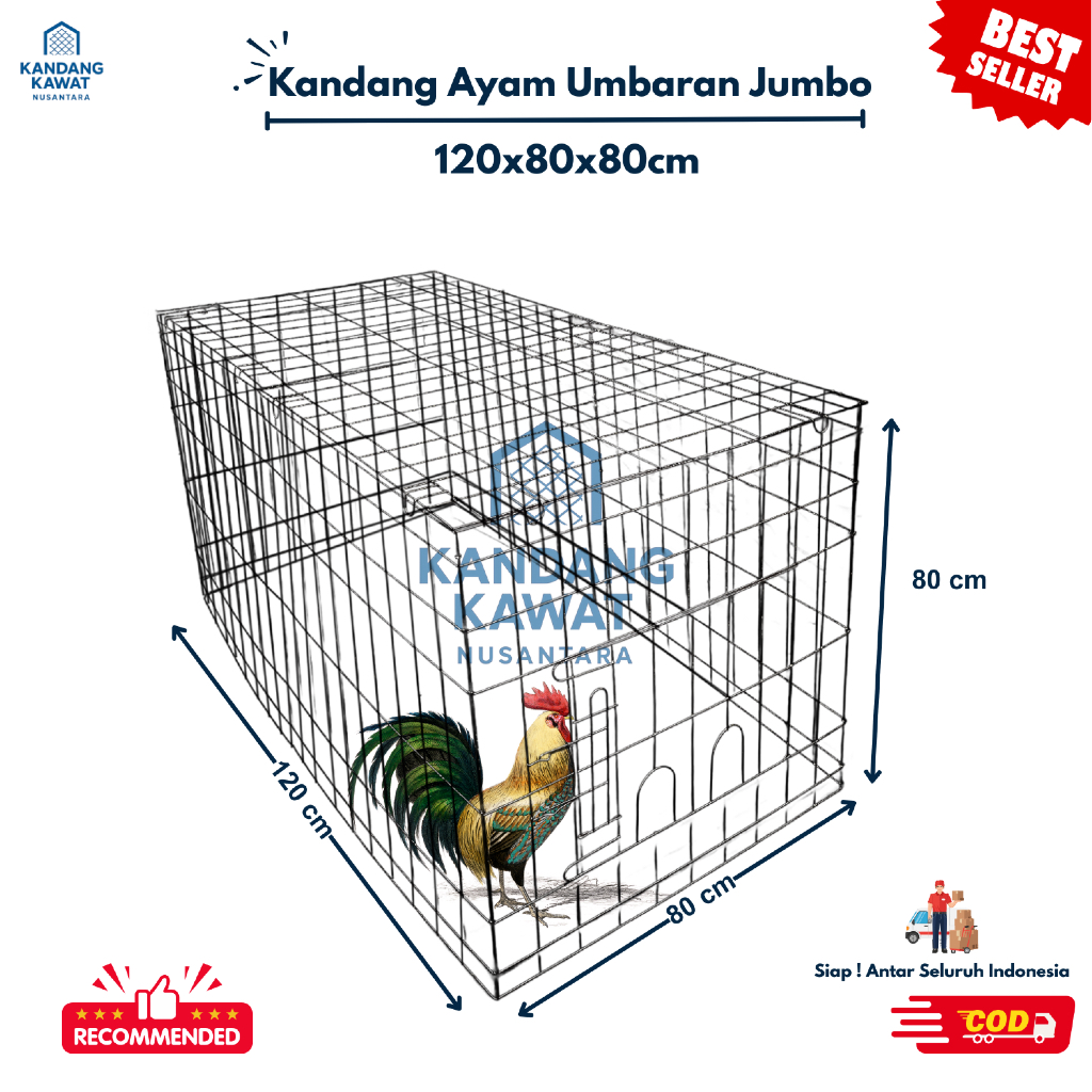 KANDANG AYAM UMBARAN GALVANIS | KANDANG AYAM JAGO | UKURAN 120x80x80 CM | BEST QUALITY