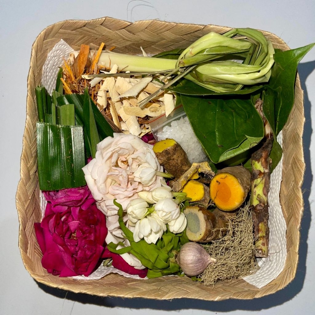 Kembang macan kerah / kembang macan kerah mandi