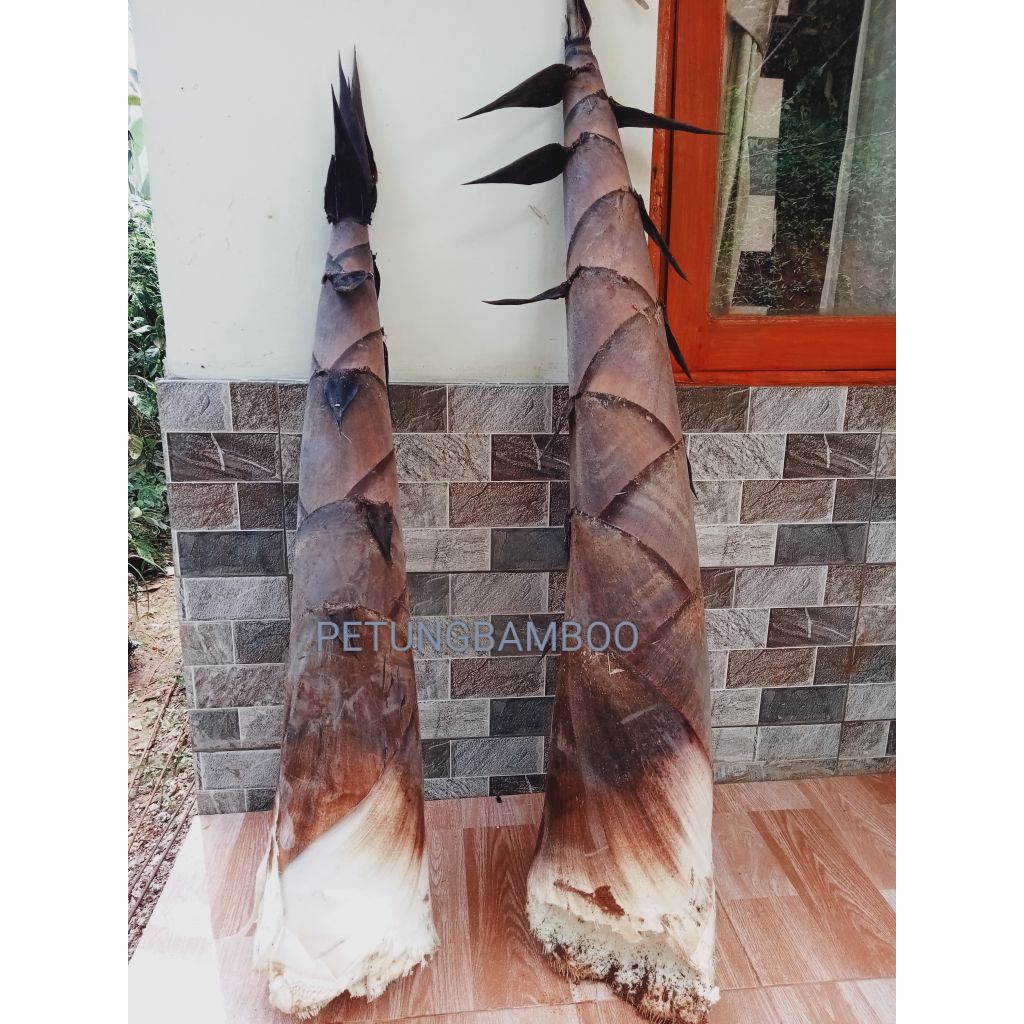 PETUNGBAMBOO Sayuran Segar Rebung Bambu Petung