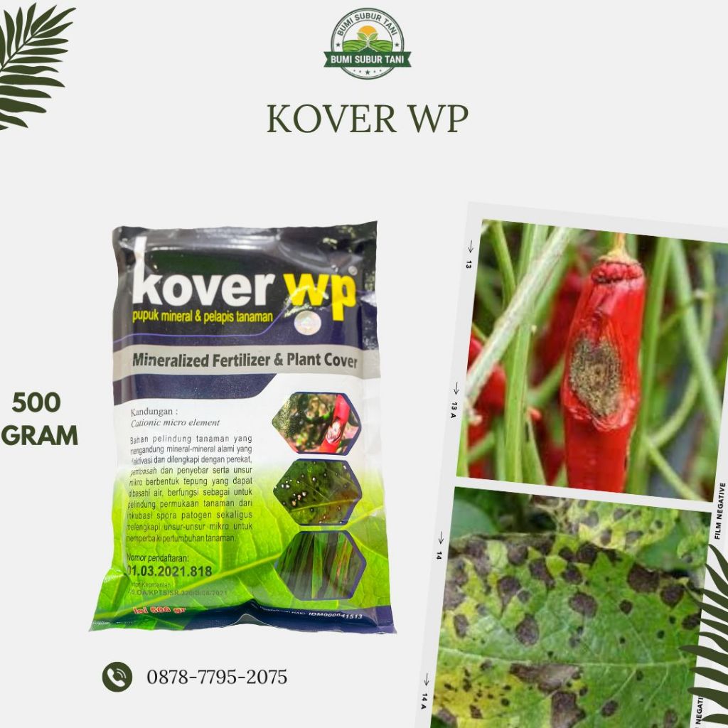 KOVER WP 500 GRAM